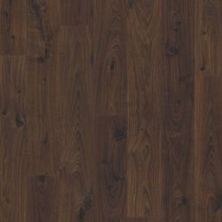  Quick-Step Perspective     32 / 9,5  4-V   ()