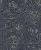 219410  BN International     0,53 *10,05