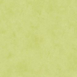 688866 Обои  AS Creation бумажные на бумажной основе 0,53 м*10,05м