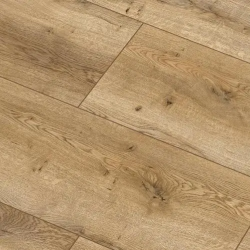  Arteo 8 XL 4V 49841   33  8  ()