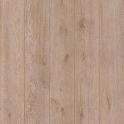  Classen Master 4V    33  8  4V  ()