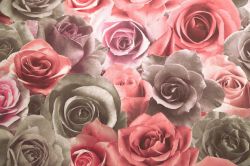 Обои виниловые Палитра 714-45 размер 1,06 м*10,05м