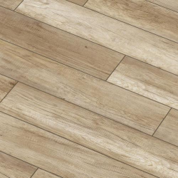  Arteo 8 XL 4V 49730   33  8  ()