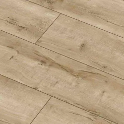  Arteo 8 XL 4V   49717 33  8  ()