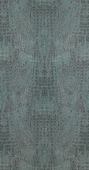 17954  BN International     0,53 *10,05