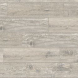 ������� ter Hurne - ��� ����  F04 1904 32 ����� 8 �� ��� ����� (��������)