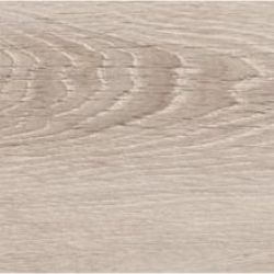   EVERGREEN OAK 31  4.5    IVC PRIMERO CLICK ()