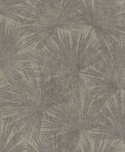 220132  BN International     0,53 *10,05