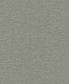 219427  BN International     0,53 *10,05