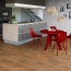  Tarkett Estetica   - 33  9  4V   ()