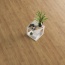  EGGER Pro Classic      33 /8    ()