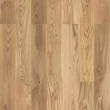   Tarkett STEP   XL 164X1000 1- 2-V  ()