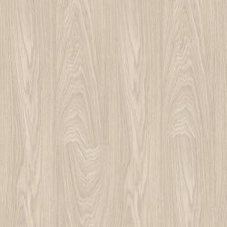   ARCTIK OAK 31  4.5    IVC PRIMERO CLICK ()