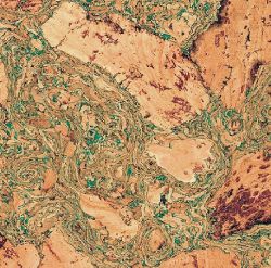 Пробка настенная Wicanders Dekwall Tenerife Green (Португалия)