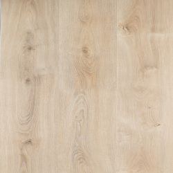 ��������� �������� BerryAlloc FITZ ROY Spirit Pro 55 Gluedown Planks(�������)