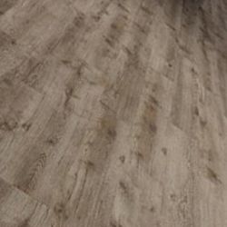   MAJOR OAK  31  4.5    IVC PRIMERO CLICK ()