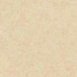 688811   AS Creation     0,53 *10,05