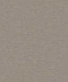 219422  BN International     0,53 *10,05