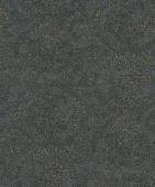 219413  BN International     0,53 *10,05