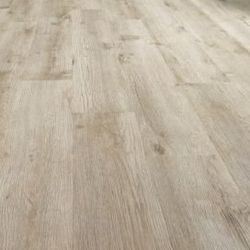   MAJOR OAK  31  4.5    IVC PRIMERO CLICK ()